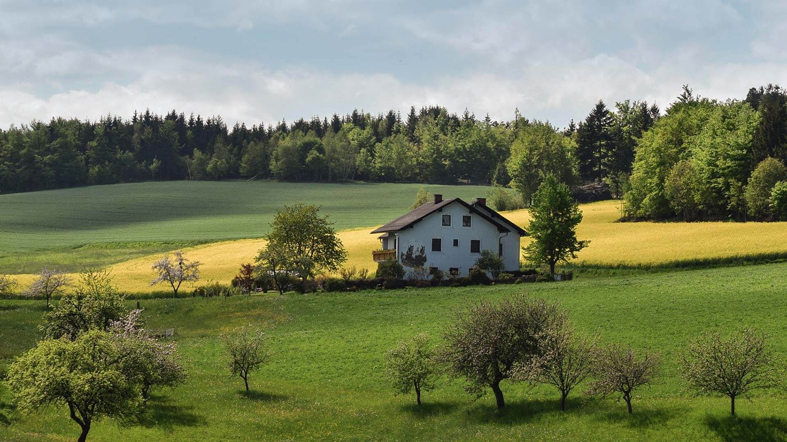 ecobeef-home-slider-2